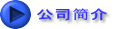 公司简介